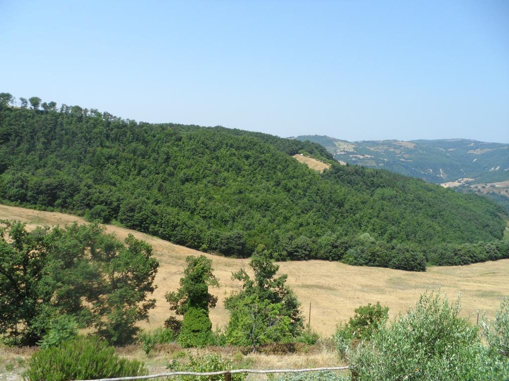Agriturismo La Terrazza Valfabbrica ภายนอก รูปภาพ
