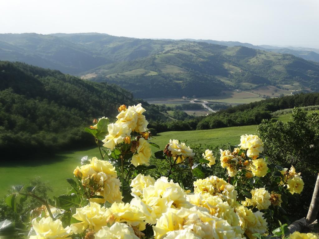 Agriturismo La Terrazza Valfabbrica ภายนอก รูปภาพ